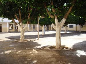 AIN TEMOUCHENT ECOLE PIERRE COMBE LA COUR 042